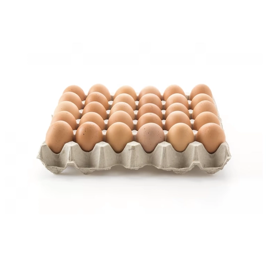 plateau d'oeuf (30) plateau d'oeuf (30)